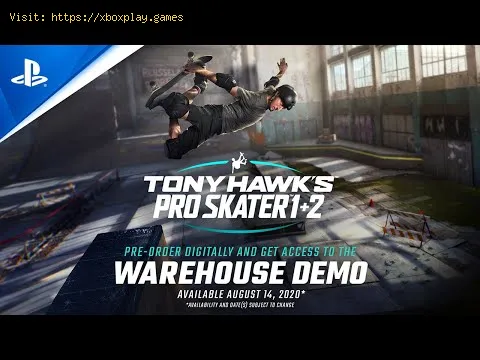 Video preview