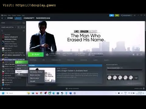 Video preview