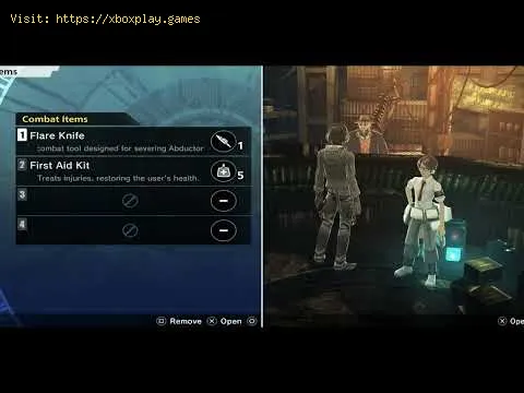 Video preview