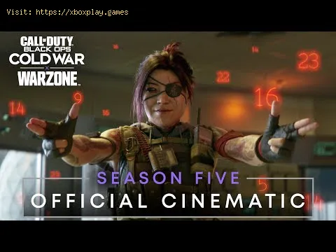 Video preview