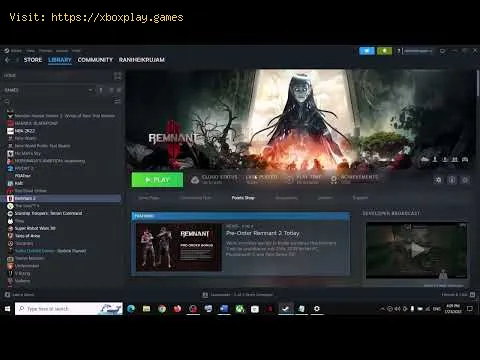Video preview
