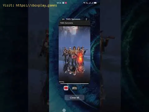 Video preview