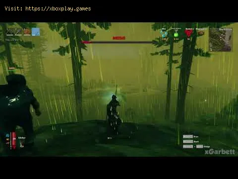 Video preview