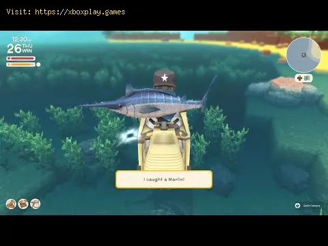 Video preview