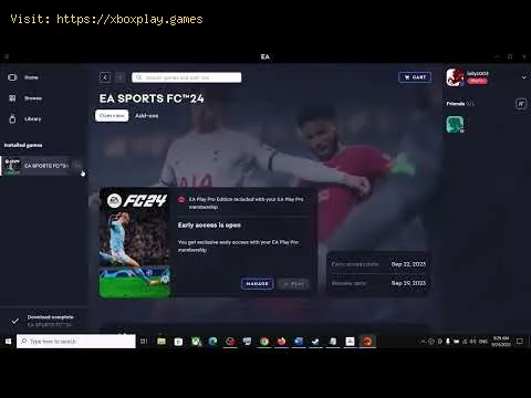 Video preview