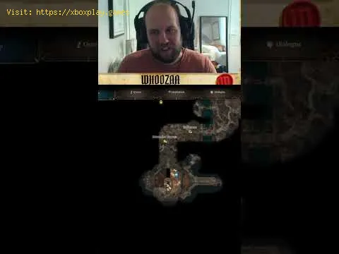 Video preview