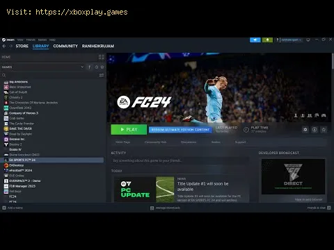 Video preview