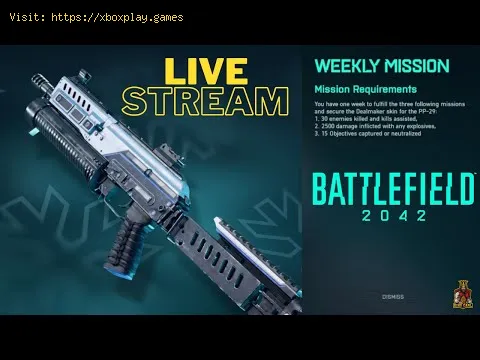 Video preview