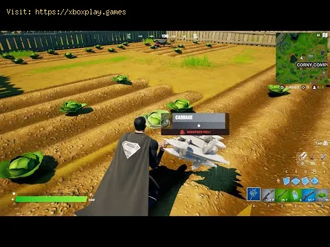 Video preview