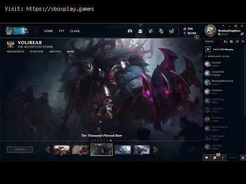 Video preview