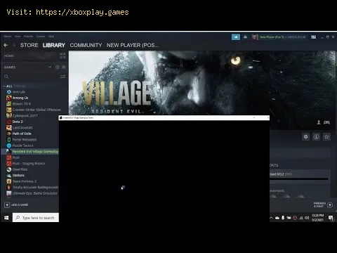 Video preview
