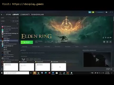 Video preview