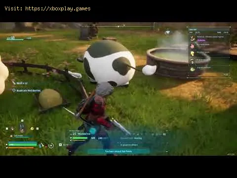 Video preview