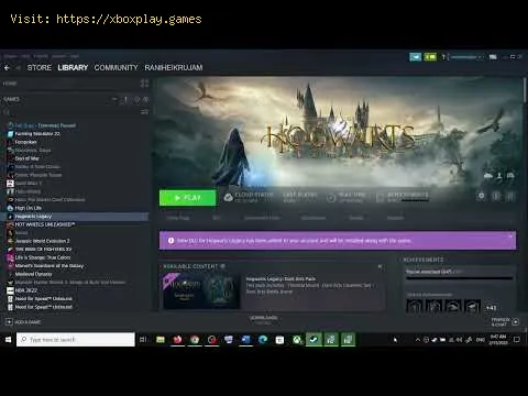 Video preview