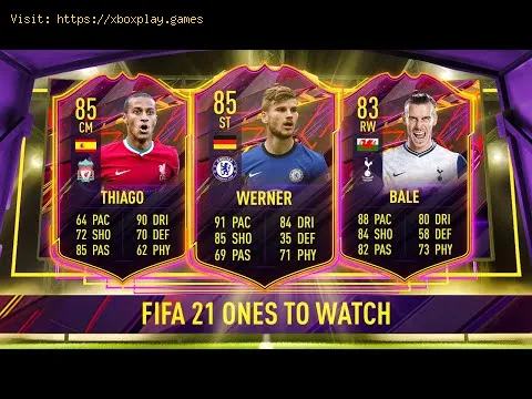 Video preview