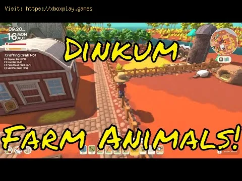 Video preview