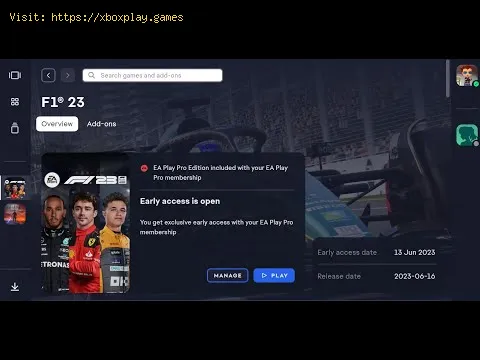Video preview