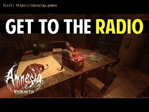 Video preview