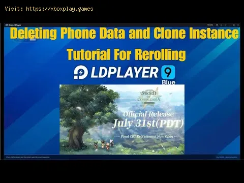 Video preview
