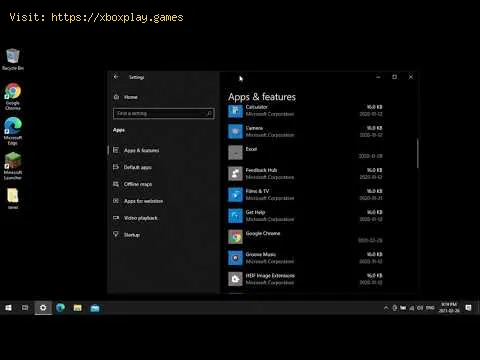 Video preview