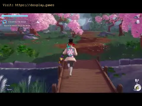 Video preview