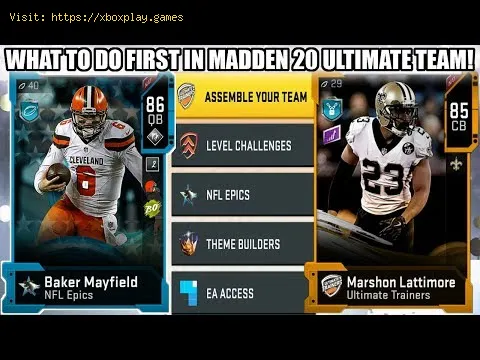 Video preview