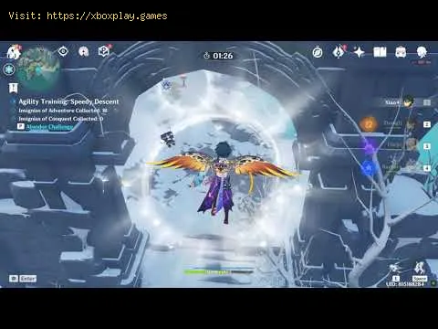 Video preview