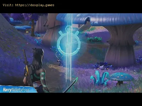 Video preview