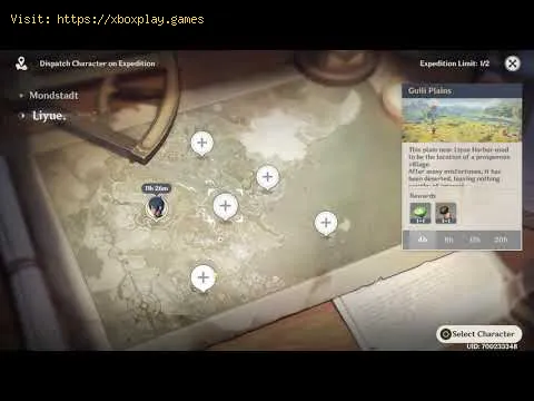 Video preview