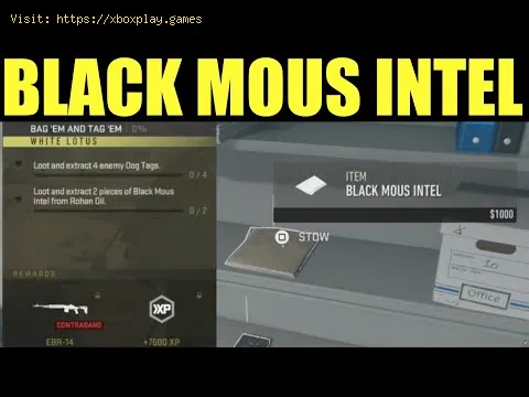 Video preview