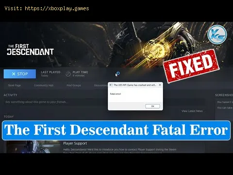 Video preview