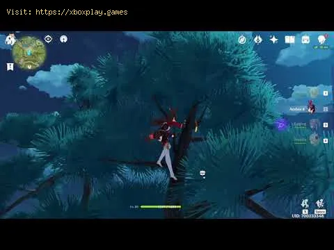 Video preview