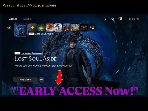 Video preview