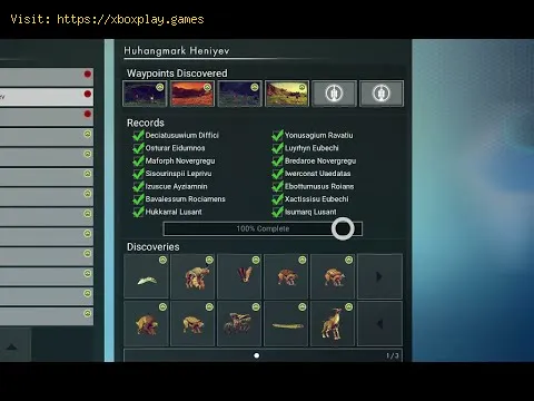 Video preview