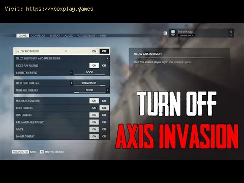 Video preview