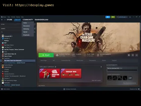 Video preview