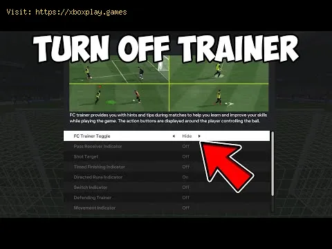 Video preview