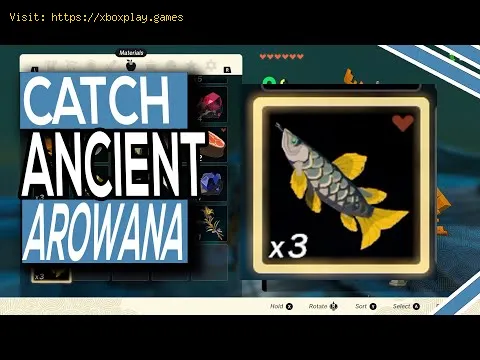 Video preview