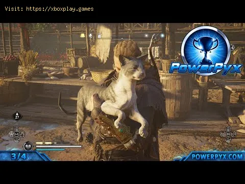 Video preview
