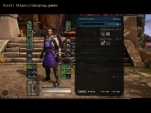 Video preview