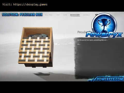 Video preview