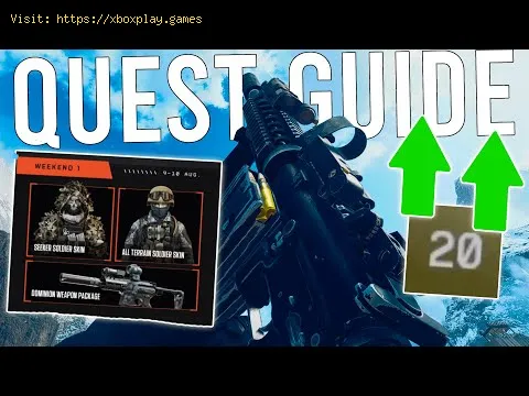 Video preview