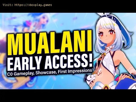 Video preview