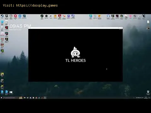 Video preview