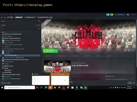 Video preview