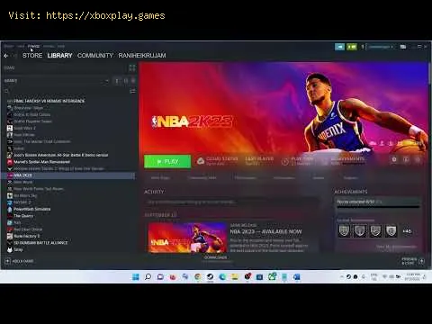 Video preview