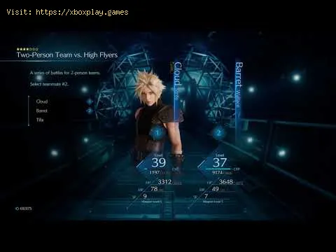 Video preview