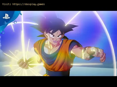 Video preview