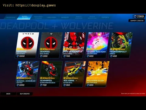 Video preview