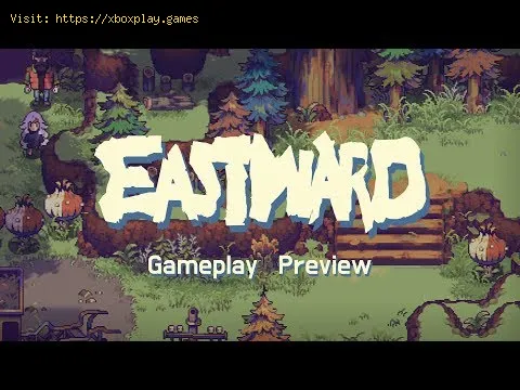 Video preview